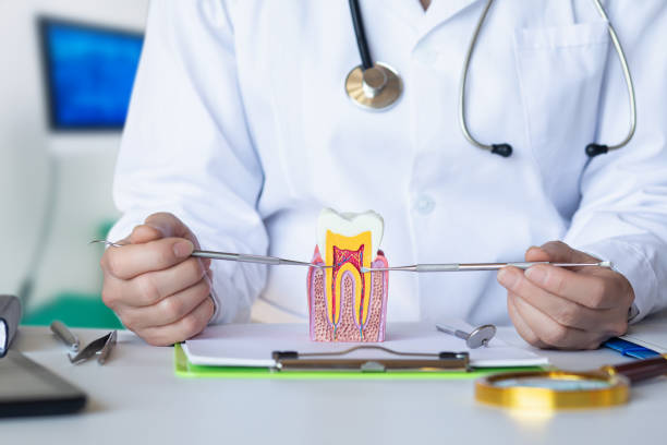 Best Knocked-Out Tooth Emergency  in Bexley, OH